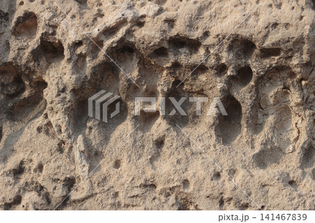 Rough eroded limestone wall texture with porous holes and cavities 141467839
