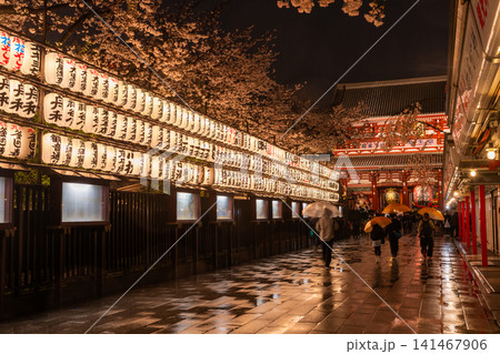 雨夜に桜が咲く浅草寺の参道と宝蔵門の春景色 雨夜に桜が咲く浅草寺の参道と宝蔵門の春景色 141467906