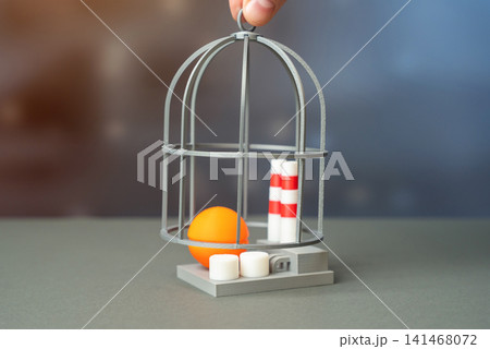 An industrial plant covered by a cage. Production halted. Asset freeze. Industrial protection from drone attacks. An industrial plant covered by a cage. Production halted. Asset freeze. Industrial protection from drone attacks. 141468072