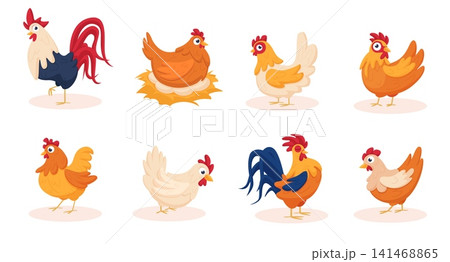 Cartoon chicken characters. Funny chickens and rooster. Isolated farm birds, agriculture animals. Home garden bird with vibrant feathers, nowaday vector set 141468865