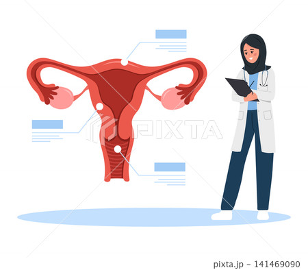 Gynecologist concept. Medical scan for uterine disease. Arab Female doctor examination Reproductive system disease. Flat vector illustration 141469090