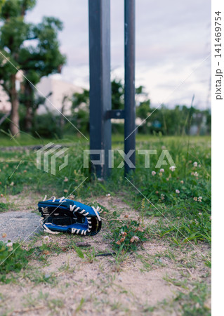 公園の草地に置かれた青と黒の野球グローブ 公園の草地に置かれた青と黒の野球グローブ 141469754