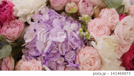 Floral background. Bloom petals. Botanical composition with lush pink lilac hydrangeas peony roses white chrysanthemum flowers with green leaves. 141469973