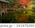 広島県三原市三景園の紅葉を映す池と鯉 141470260