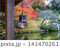 広島県三原市三景園の紅葉 141470261