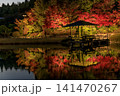 広島県三原市三景園の紅葉のライトアップ 141470267