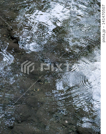 静かな水面に広がる無数の雨の波紋/幻想的な自然背景素材 静かな水面に広がる無数の雨の波紋/幻想的な自然背景素材 141470507