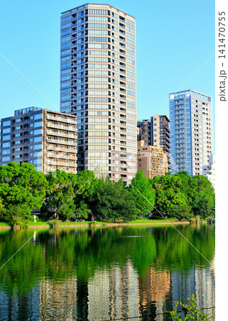 上野恩賜公園、不忍池 ボート池と高層マンション群 上野恩賜公園、不忍池 ボート池と高層マンション群 141470755