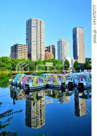 上野恩賜公園、不忍池 ボート池と高層マンション群 上野恩賜公園、不忍池 ボート池と高層マンション群 141470777