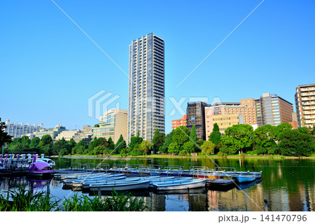 上野恩賜公園、不忍池　ボート池と高層マンション群 141470796