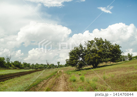 Rural dirt road leading to a lone tree in open field. Scenic countryside pathway with natural landscape and cloudy sky backdrop. Rural dirt road leading to a lone tree in open field. Scenic countryside pathway with natural landscape and cloudy sky backdrop. 141470844