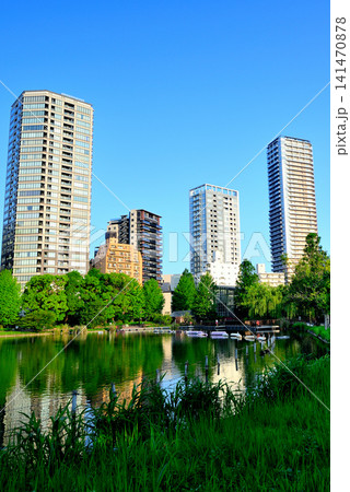 上野恩賜公園、不忍池　ボート池と高層マンション群 141470878