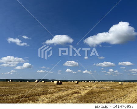 Golden hay bales across harvested field under dramatic blue sky with panoramic rural landscape Golden hay bales across harvested field under dramatic blue sky with panoramic rural landscape 141470955