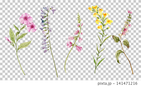 A collection of hand-drawn botanical plants and flowers. Watercolor illustrations for greeting card decoration. A collection of hand-drawn botanical plants and flowers. Watercolor illustrations for greeting card decoration. 141471216