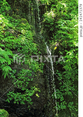 夏の安曇野　延命水 141471379