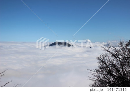 愛媛県・瓶ヶ森 石鎚山系で撮影された見渡す限りの雲海と石鎚山の雄大な山岳風景 愛媛県・瓶ヶ森 石鎚山系で撮影された見渡す限りの雲海と石鎚山の雄大な山岳風景 141471513