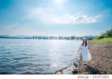 太陽きらめく湖畔の水辺の風景 太陽きらめく湖畔の水辺の風景 141471602