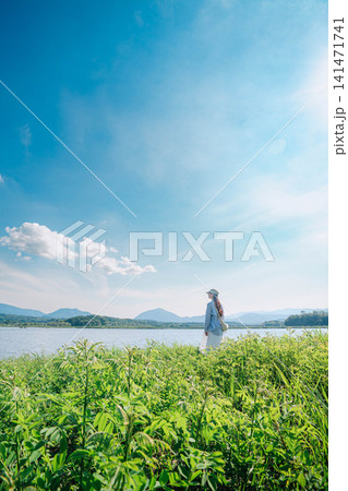 湖畔の草原で夏空を見上げる女性の後ろ姿 湖畔の草原で夏空を見上げる女性の後ろ姿 141471741