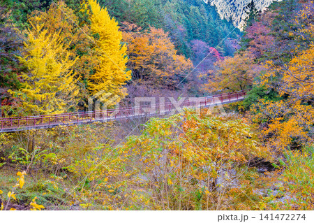 東京 紅葉に染まる秋川渓谷 石舟橋 東京 紅葉に染まる秋川渓谷 石舟橋 141472274