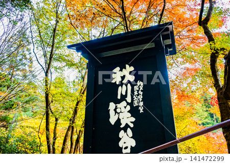 東京 紅葉に染まる秋川渓谷 東京 紅葉に染まる秋川渓谷 141472299