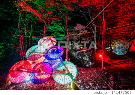 茨城 紅葉に染まる花貫渓谷　ライトアップ 141472505