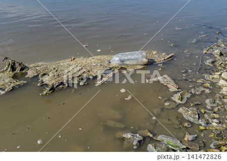 Plastic Bottle Polluting Lake Shoreline 141472826