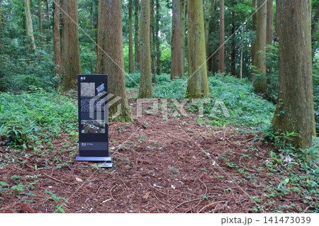 増山城跡 無常(曲輪)の風景(富山県礪波市) 増山城跡 無常(曲輪)の風景(富山県礪波市) 141473039