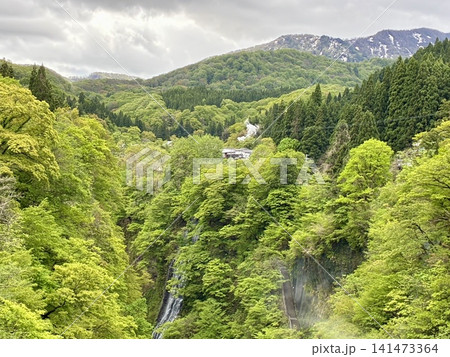 川原湯橋から新緑の小安峡の滝を眺める 川原湯橋から新緑の小安峡の滝を眺める 141473364