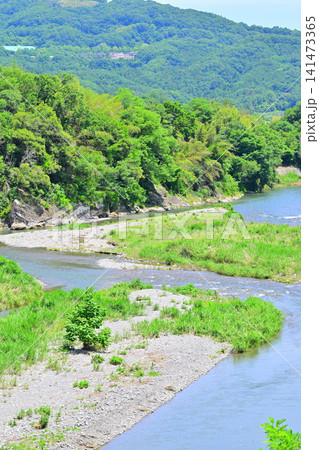 初夏の荒川 赤平川 合流地点 皆野橋下流 初夏の荒川 赤平川 合流地点 皆野橋下流 141473365