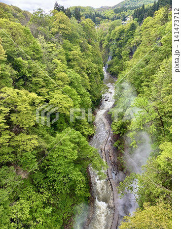 川原湯橋からの新緑の小安峡大噴湯の眺め 141473712