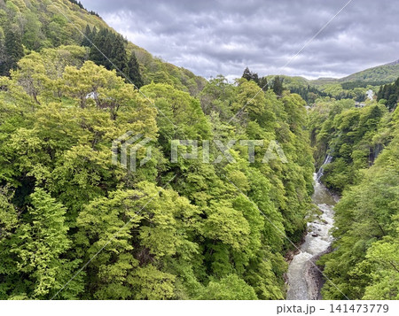川原湯橋からの新緑の小安峡大噴湯の眺め 川原湯橋からの新緑の小安峡大噴湯の眺め 141473779