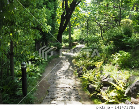 角川庭園 角川庭園 141473788