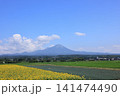 大山と向日葵　1 141474490