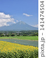 大山と向日葵　11 141474504