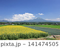 大山と向日葵　10 141474505