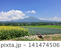 大山と向日葵　9 141474506