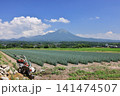 大山と向日葵　8 141474507