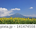 大山と向日葵　7 141474508