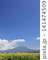 大山と向日葵　6 141474509
