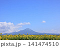 大山と向日葵　5 141474510