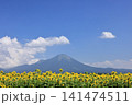 大山と向日葵　4 141474511