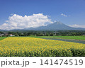 大山と向日葵　14 141474519