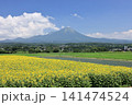 大山と向日葵　12 141474524