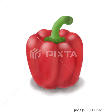 Hand drawn red bell pepper illustration with shadow isolated on white background Hand drawn red bell pepper illustration with shadow isolated on white background 141474655