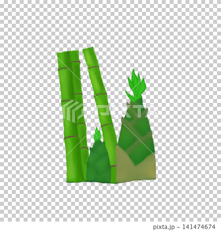Hand drawn green bamboo stalks and fresh bamboo shoots illustration isolated on white background Hand drawn green bamboo stalks and fresh bamboo shoots illustration isolated on white background 141474674