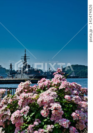 ピンクバラと艦船 ピンクバラと艦船 141474926