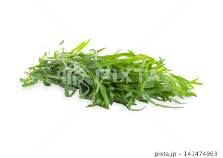 Fresh tarragon adds vibrant color and flavor to various dishes, PNG Fresh tarragon adds vibrant color and flavor to various dishes, PNG 141474963