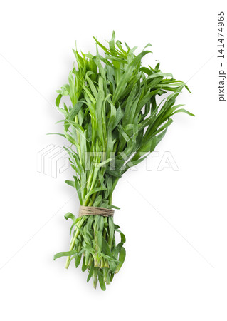 Vibrant tarragon bundle highlights the freshness of garden herbs, PNG Vibrant tarragon bundle highlights the freshness of garden herbs, PNG 141474965