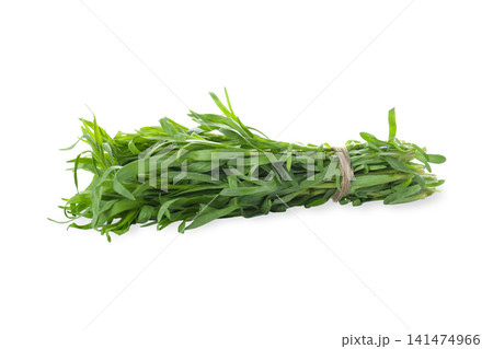Fresh tarragon bundle showcases vibrant green leaves and aromatic scent, PNG 141474966