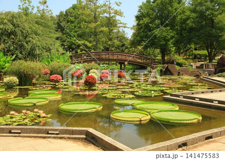 水辺の庭園 水辺の庭園 141475583